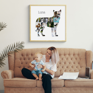 Crea la tua Collage del Siberian Husky con foto personalizzate!