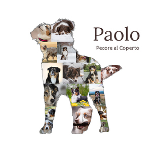 Crea la tua Collage di Foto per Australian Shepherd con Testo Personale