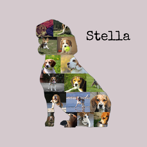 Collage Beagle: Crea un ricordo personalizzato del tuo amico a quattro zampe!