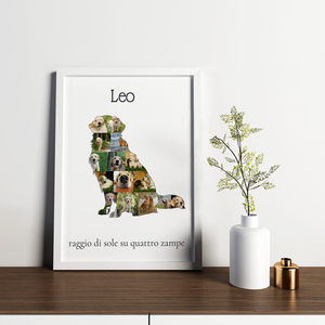 Crea la tua Collage Golden Retriever unica con foto e testo personalizzati!