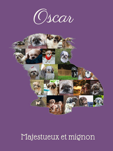 Collage Shih Tzu Personnalisée - Créez votre Souvenir Canin Unique