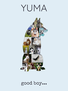 Crea la tua Collage del Siberian Husky con foto personalizzate!