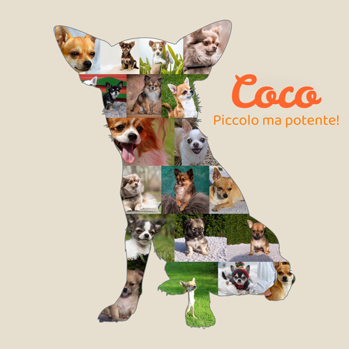 Collage Chihuahua Personalizzata: Crea un Ricordo Speciale del Tuo Amico Fidato