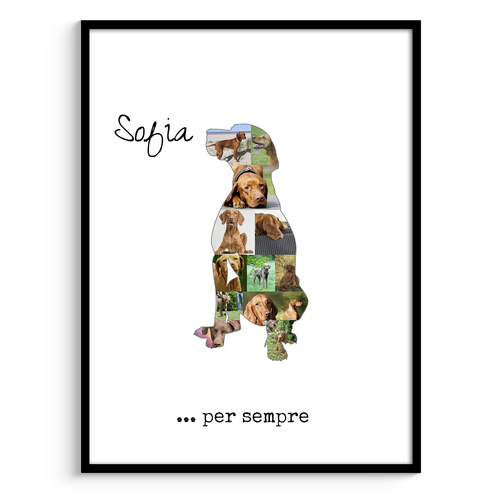 Crea la tua Collage Vizsla: Personalizza Foto & Testo!